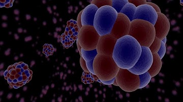 Building Blocks of the Universe