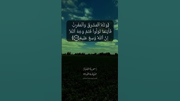 سورة البقرة الآية ١١٤ الى ١١٦ بصوت الشيخ ماهر المعيقلي