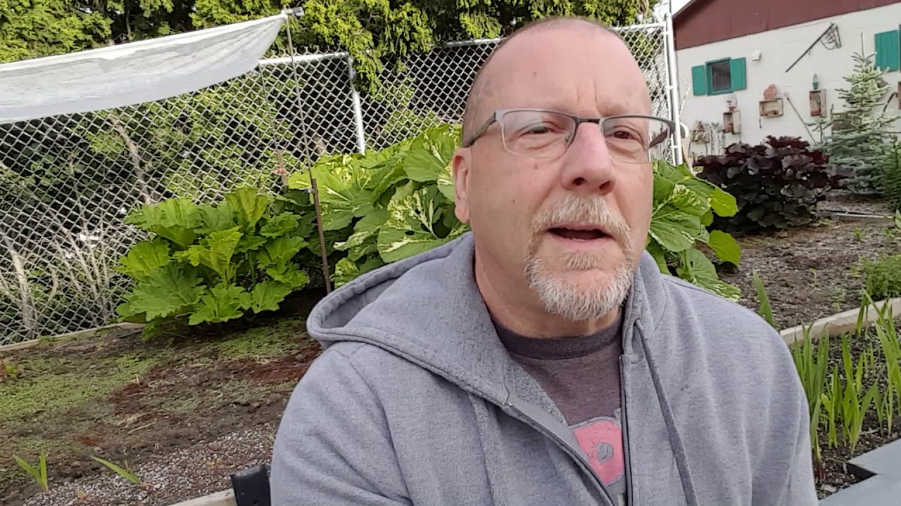 Concrete mold making/leaf casting/Back to work.