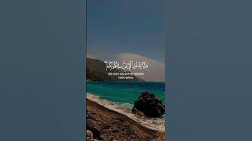 خالد الجليل قالت  الإعراب آمنا #مصر #المصحف #المغرب #خالد_الجليل #تلاوة_خاشعة #تلاوات #تلاوات #قرآن