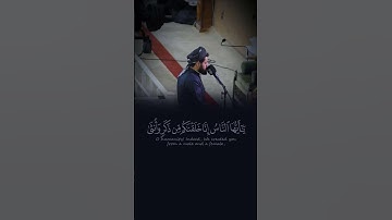 شيخ رعد محمد الكردي {{ سورة الحجرات }} #short