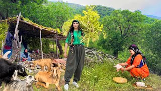 First Day of Exploring Iran's Nomadic Lifestyle: Cooking Delicious Dish & Milking Goats