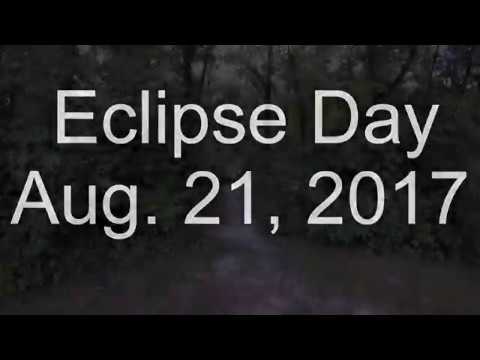 cat lovers club instagram The Eclipse from Weldon Springs August 21, 2017