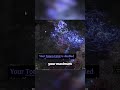 Spark Totems Oracle Build