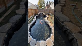 Koi pond build in 15 seconds #timelapse #backyard #diy #satisfying #pool #kitchen #outdoorliving