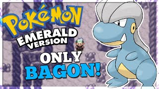 Can you beat Pokemon Emerald with only a Bagon? Pokemon Challenges