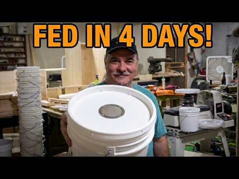It's time to feed your bees | Made in the USA bucket feeders