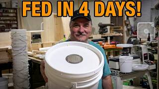 It's time to feed your bees | Made in the USA bucket feeders screenshot 3