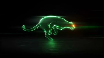 2981 -  Neon light gllitch wild Cat animal Logo Reveal intro animation any colors
