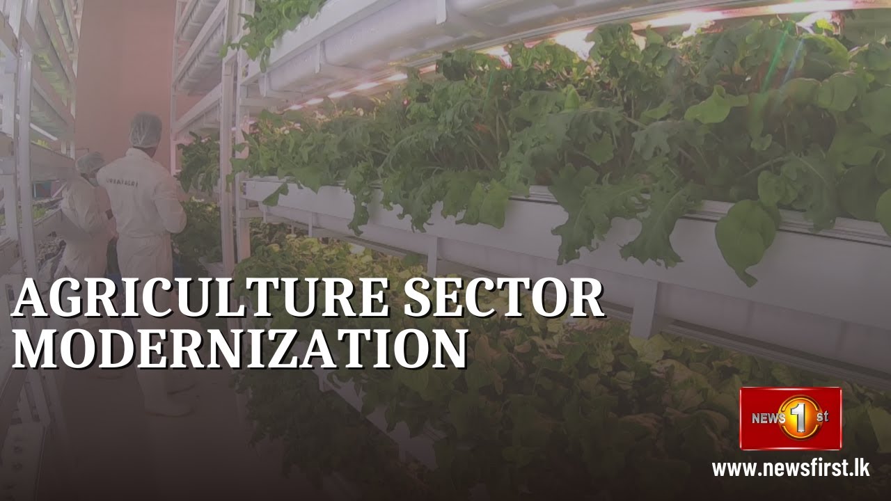 Agriculture Sector Modernization Project launched YouTube