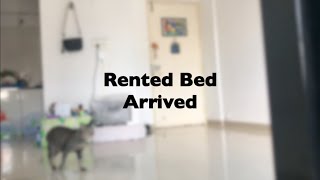 Rented  Bed Arrival |  #Bed Arrived #Filipina #IndianCoupleInIndia #vlog 22