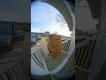 Porch Pirates Get What They Deserve 💥 (Instant Karma Compilation)