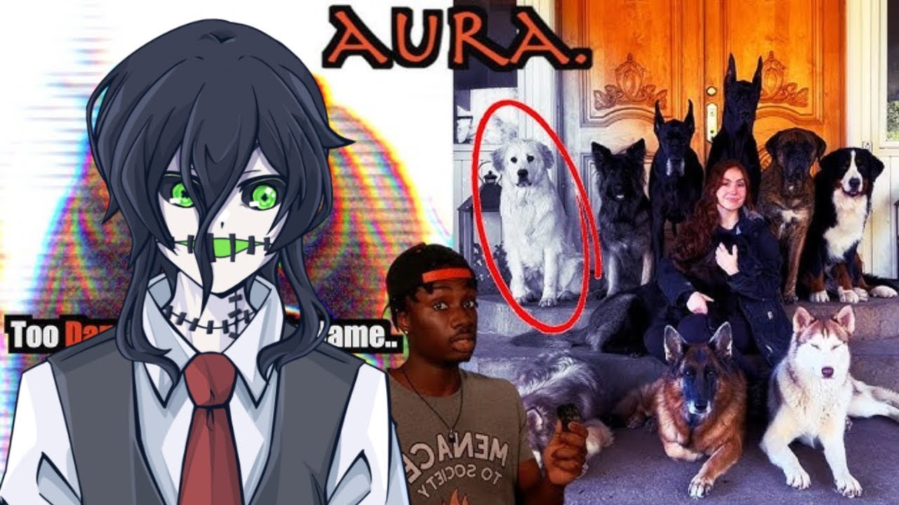 These animals got that AURA | Toby reacts to Casual Geographic