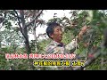 进藏日记5：四川大凉山，彝族大叔在荒地上种了几百棵花椒，供出3个大学生，大叔很像演员林永健