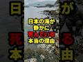 日本の海が静かに死んでいる本当の理由#海 #日本 #shorts