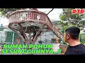 #EPS38 AVIARY DEHAKIMS | SEMAKIN JELAS ALAMINYA RUMAH POHON DI AVIARY