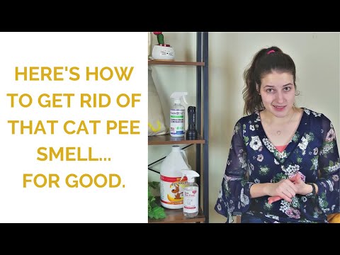 Video: How To Get Cat Urine Odor Off Your Shoes