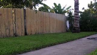 Celebrity 2 Step Wallflip - Nick Rumell Profile