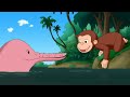 Curious George's Amazon Adventure / Monkey Senses | Jorge El Curioso | WildBrain en Español