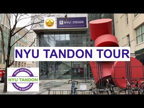 tandon nyu