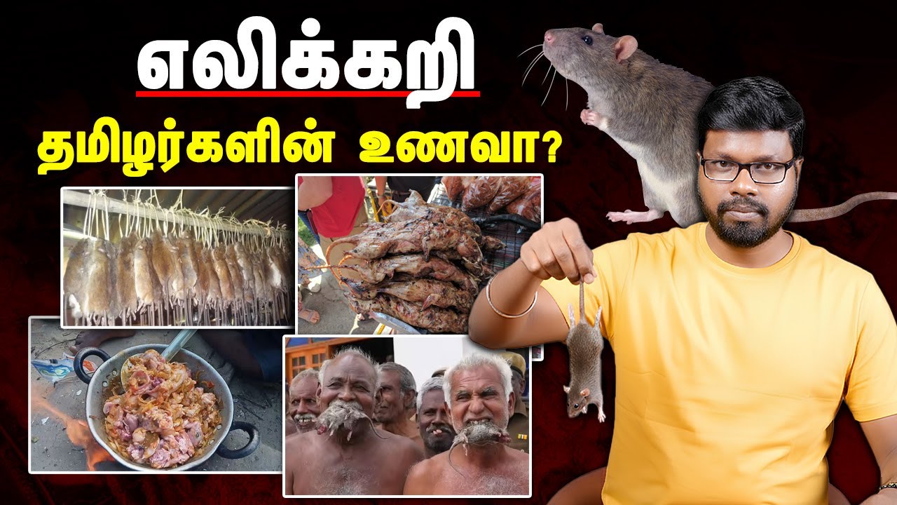 Bogan Food தமிழ் நாட்டில் சர்ச்சை உணவு வரலாறு | Rat Meat Shocking Food History ...