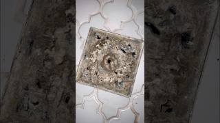 Crazy Shower Drain Clog. Watch This Satisfying Clean-Up
