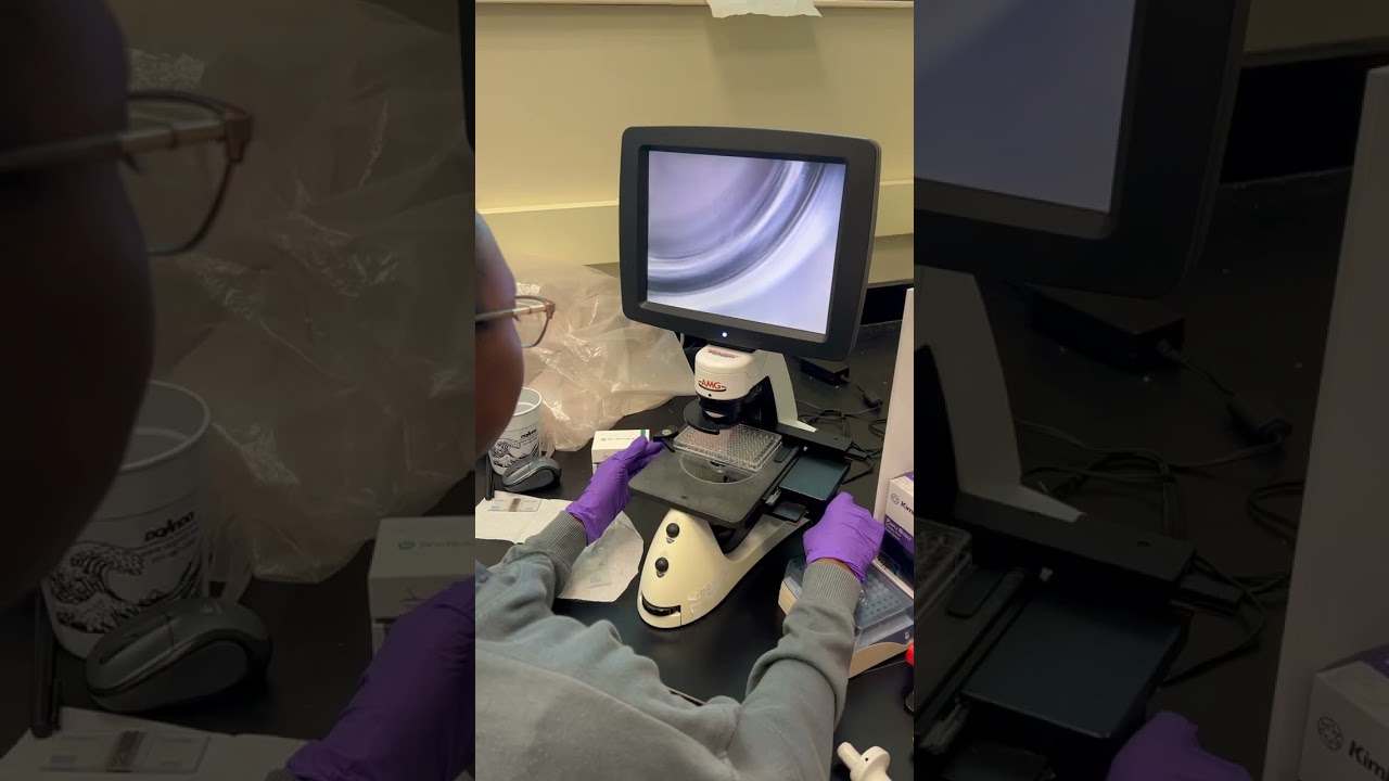 Hampton School of Pharmacy Lab Work