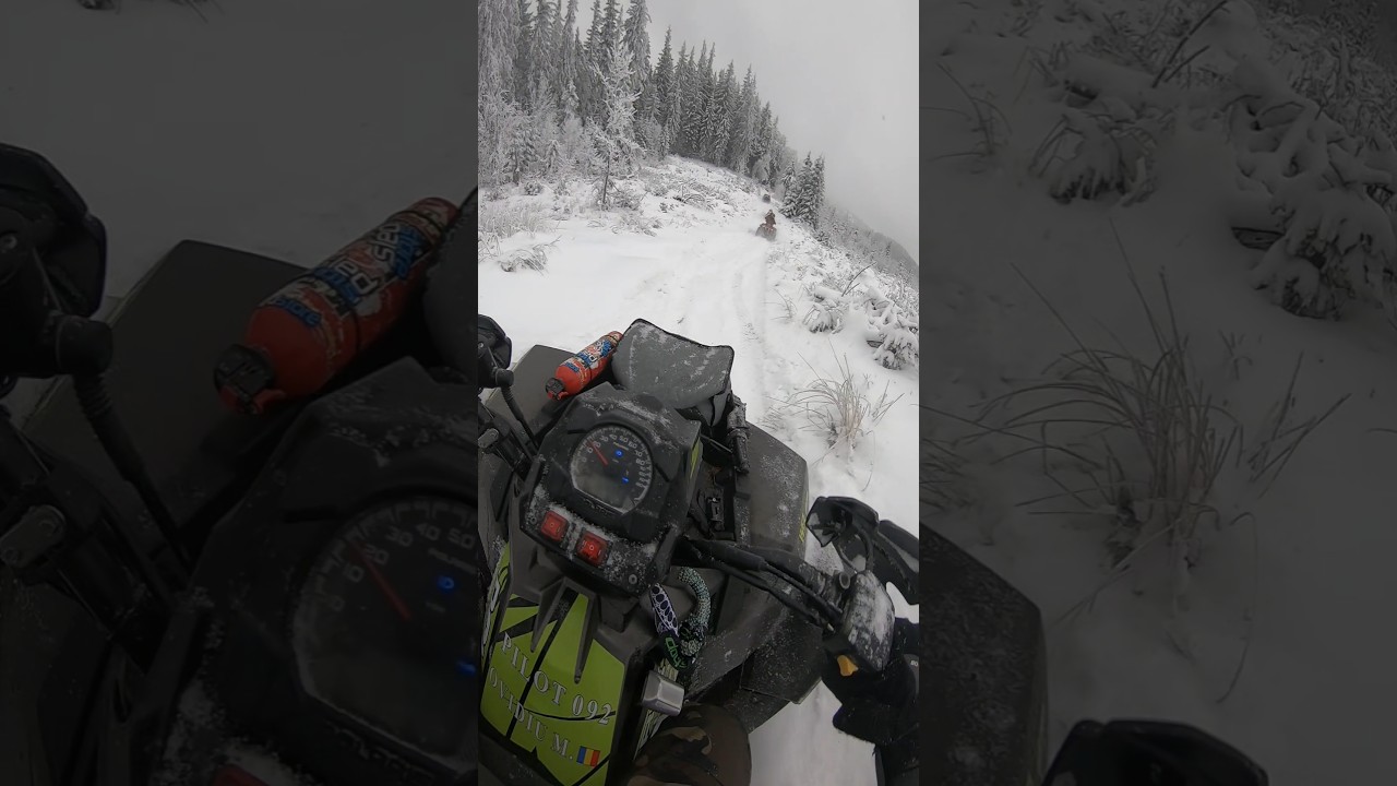 Polaris ScramblernXP 1000 