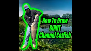 Episode 2: How To Manage Channel Catfish In Your Pond screenshot 5