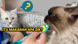 ANEH! LILO RAKUS TAPI GAK DOYAN SNACK BASAH by Kucing Om Wepe 20,730 views 1 year ago 12 minutes, 14 seconds