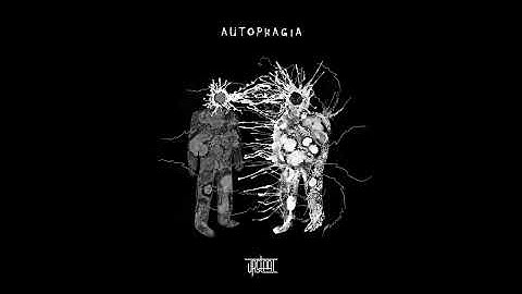 Urstaat - Under the Gaze of the Other