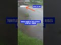 Flooding in Oklahoma and Texas