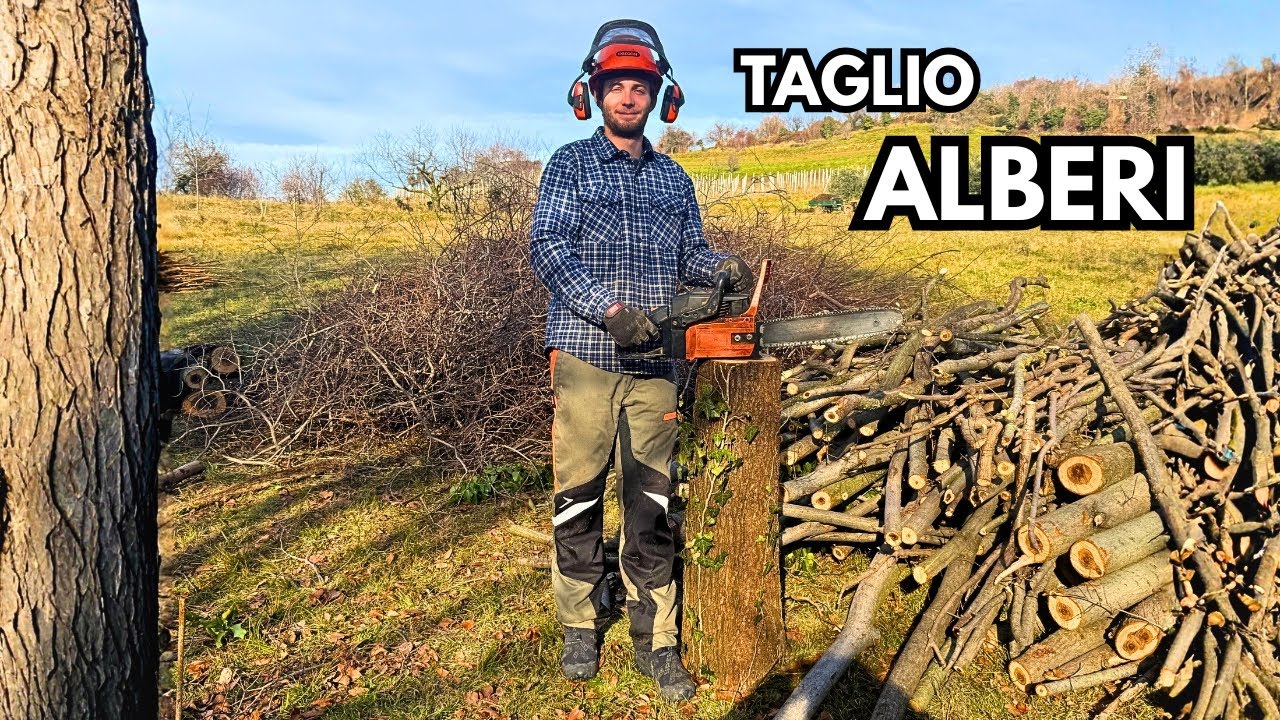 TAGLIO ALBERI! 🌲🪓 | Finetti (VR) | EP.1