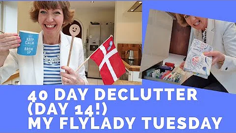 40 Day Declutter! Kitchen, events, souvenirs. Plus...