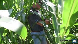 Crop Tour 2022 - Field Report #4