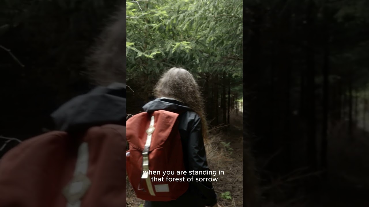 Finding Hope in the Forest of Sorrow: A Journey Through Grief-