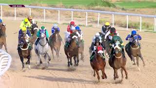 Vidéo de la course PMU PRIX RACE 2