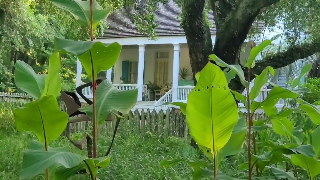 Maison La Madeleine (Lake Martin, Louisiana)