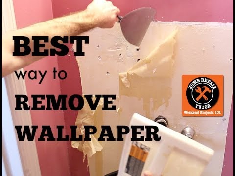 9 Best Wallpaper Removers