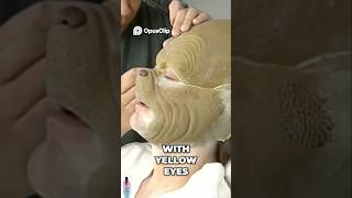 Amazing Grinch costume making