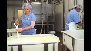 How To Make Goat Cheese: Redwood Hill Farm Camellia