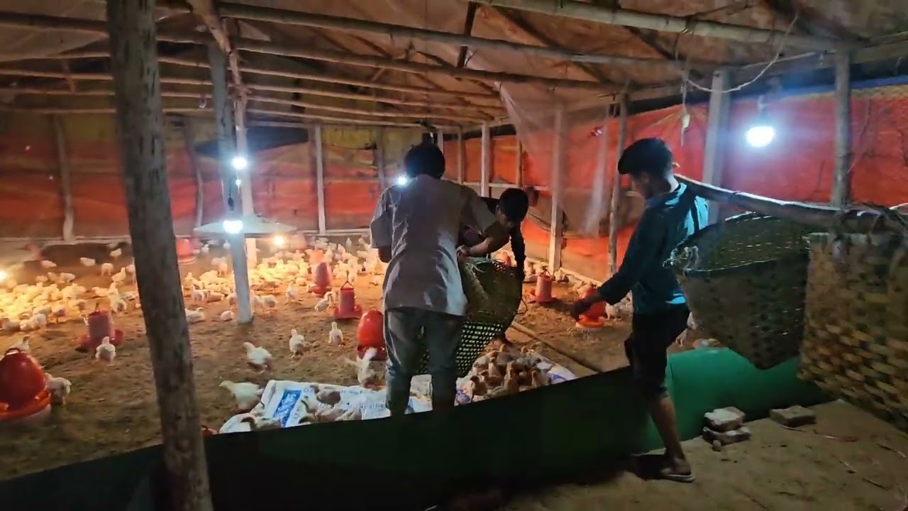 জীবনের বাস্তব অভিজ্ঞতা মানুষকে যা শিখায় তা কোন পাঠ্য-পুস্তক থেকে পাওয়া যায় না_