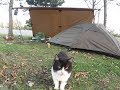 女ソロキャンプ ミリ幕と夕暮れ猫キャンプ