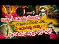 జాహ్నవి కేసులో బిగ్ ట్విస్ట్| Big Twist In Kakinada Jahnavi Missing |Jahnavi Missing Updates|Mega9tv