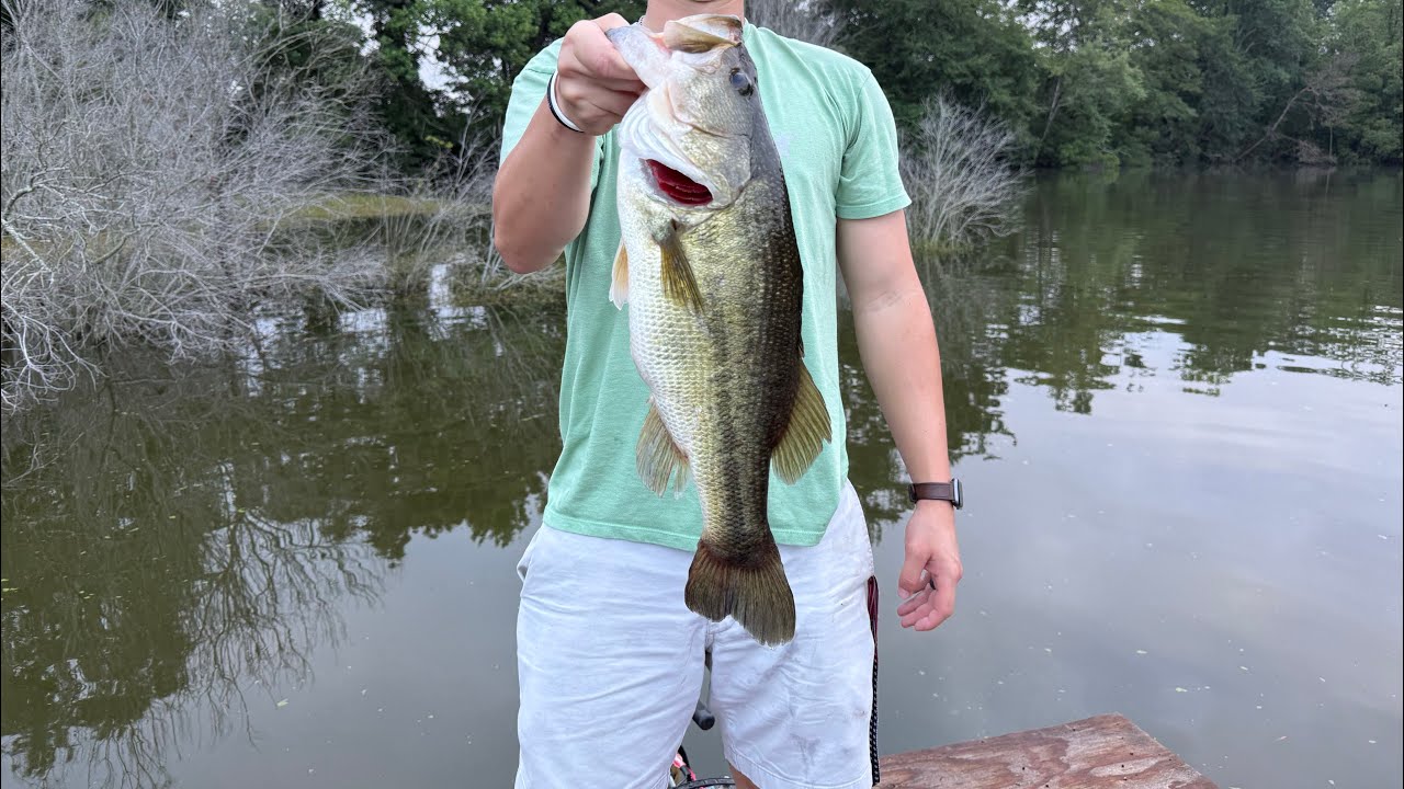 Bass fishing (big bass caught)