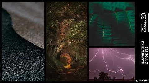 Trend Color Forecast for Coatings 2020: Illuminating Opposites