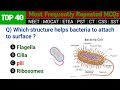 Top 40 Most Important Science MCQs for All Competitive Exams | NEET | MDCAT | HEC | NTS | CSS | PMS