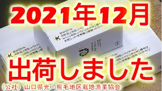 2021年12月分の活き車海老を出荷しました