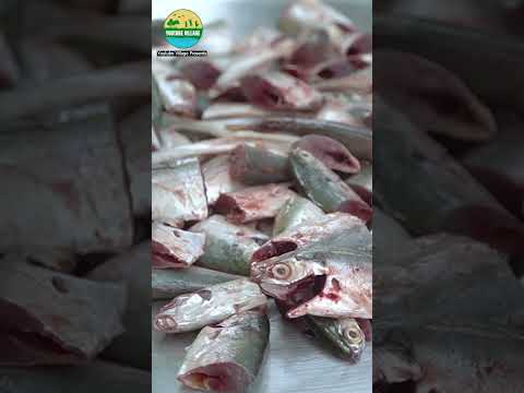 Bullet Tuna Fish Cutting by women #fishcutting #villagelife #fishrecipes #food