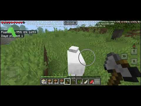 Minecraft New World Part 4